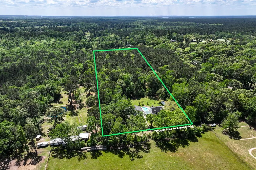 47 Dana Drive New Waverly, TX 77358