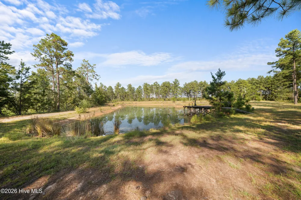 435 Canoochee Bypass Midville, GA 30441