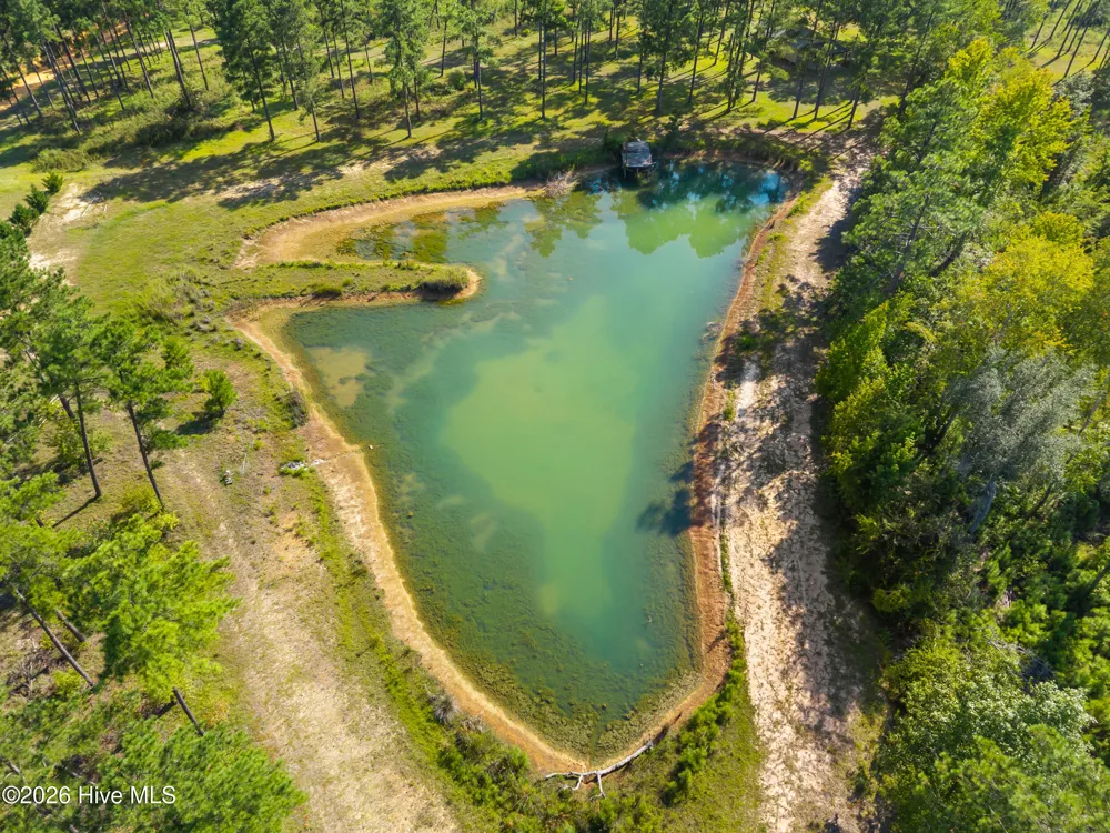 435 Canoochee Bypass Midville, GA 30441