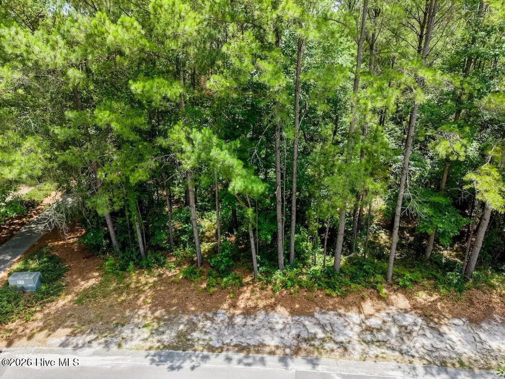 289 River Ridge Drive Wallace, NC 28466