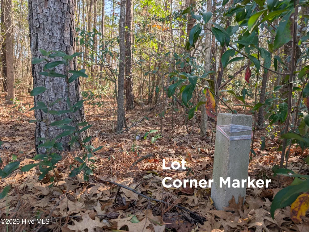 289 River Ridge Drive Wallace, NC 28466