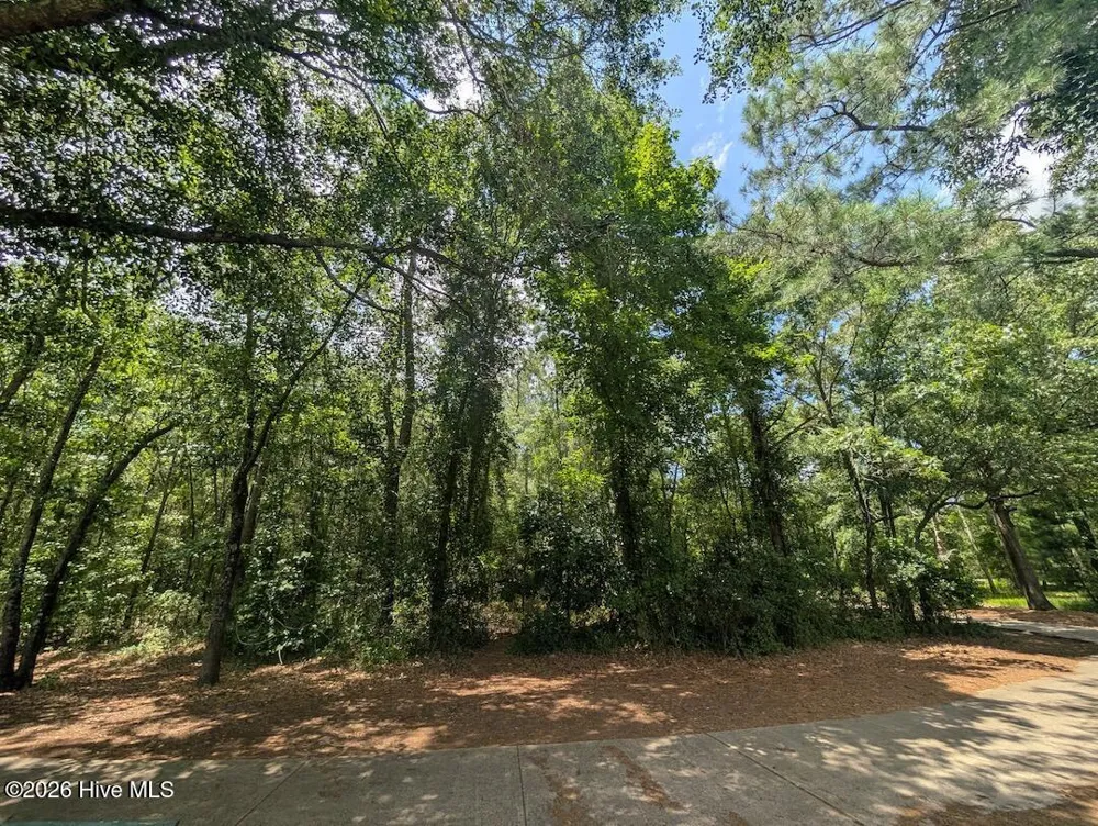 289 River Ridge Drive Wallace, NC 28466