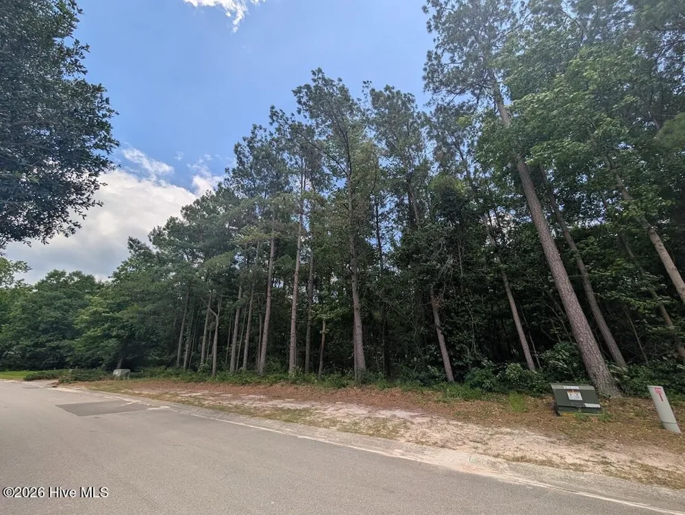 289 River Ridge Drive Wallace, NC 28466
