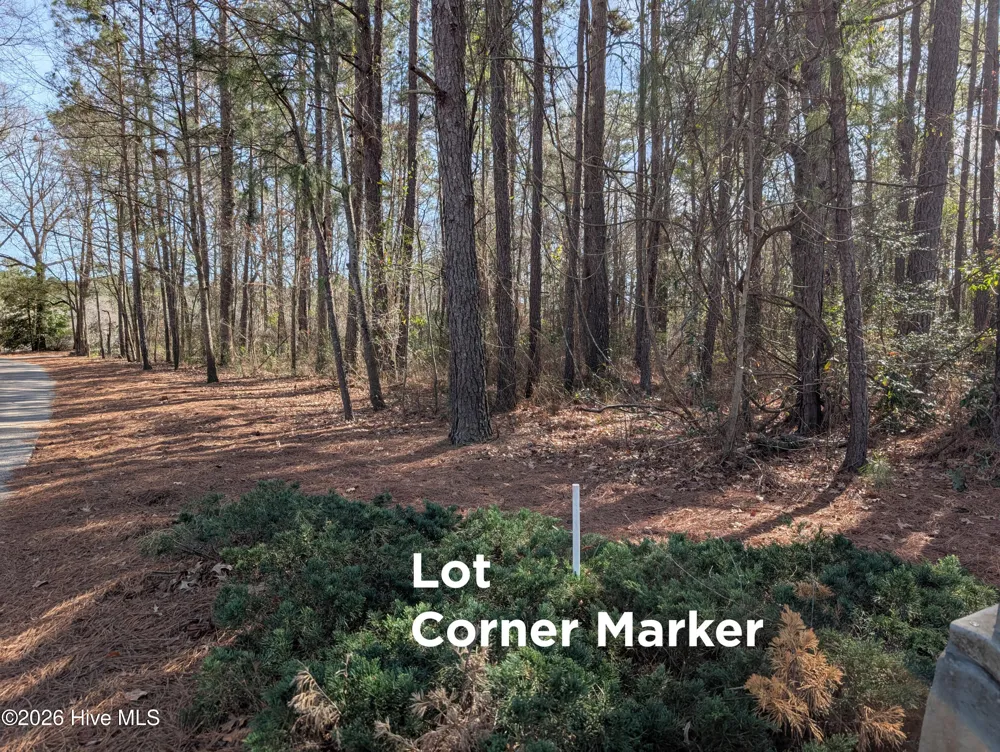 289 River Ridge Drive Wallace, NC 28466