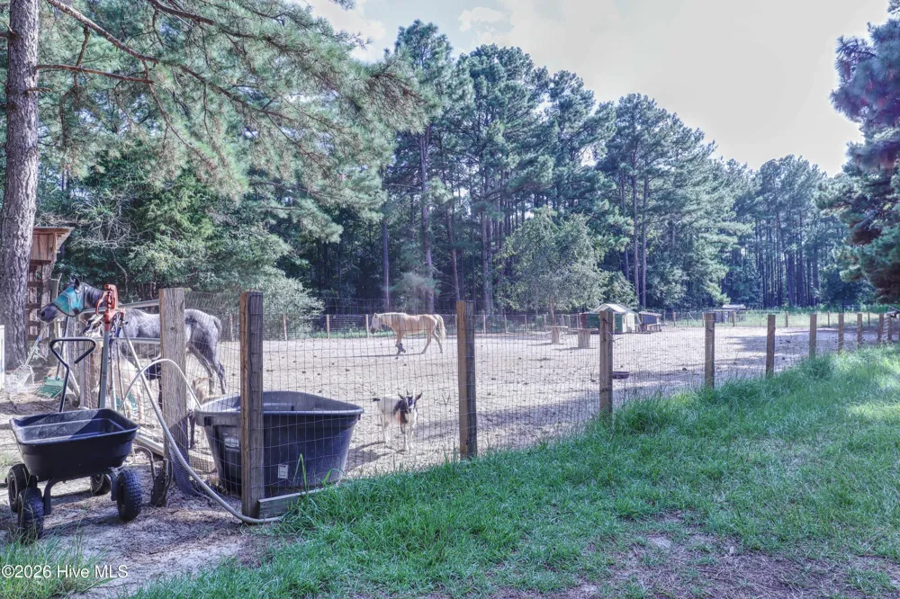 1536 Marks Creek Church Road Laurel Hill, NC 28351