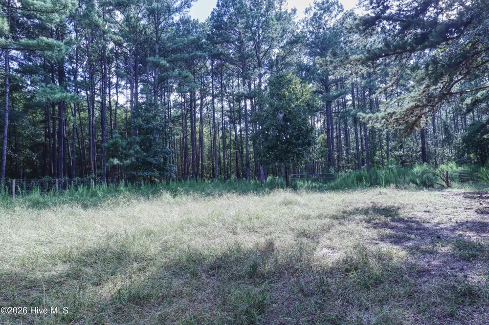 1536 Marks Creek Church Road Laurel Hill, NC 28351