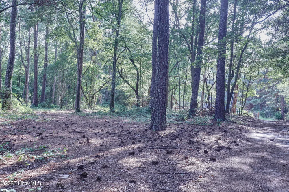 1536 Marks Creek Church Road Laurel Hill, NC 28351