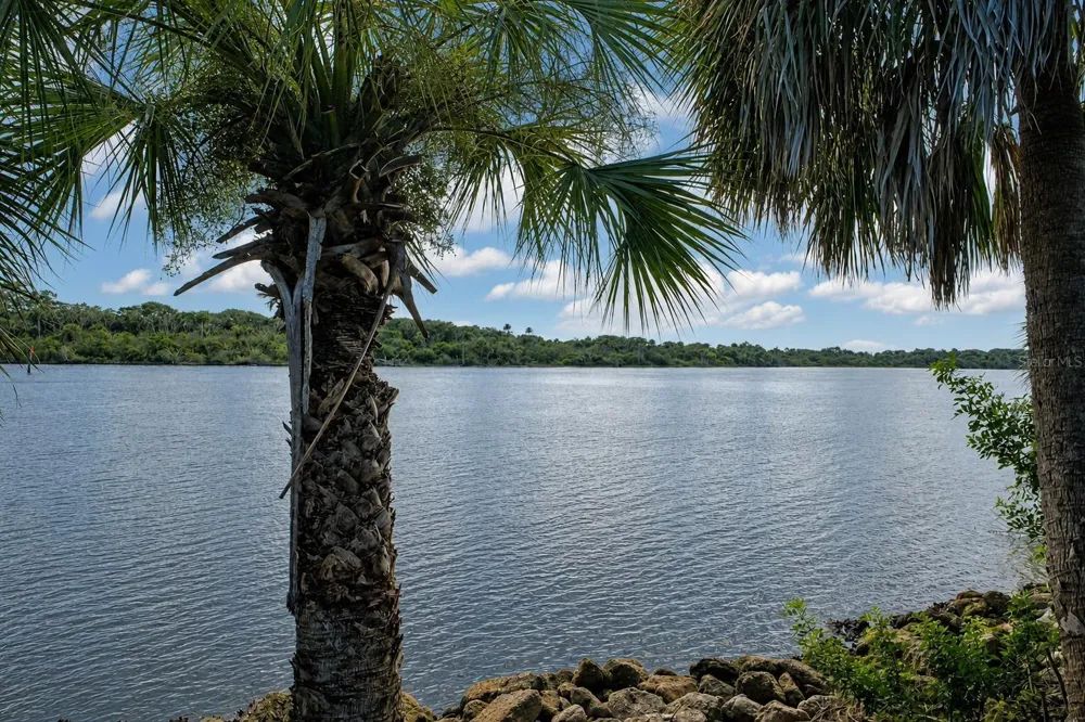 3668 JOHN ANDERSON DRIVE Ormond Beach, FL 32176