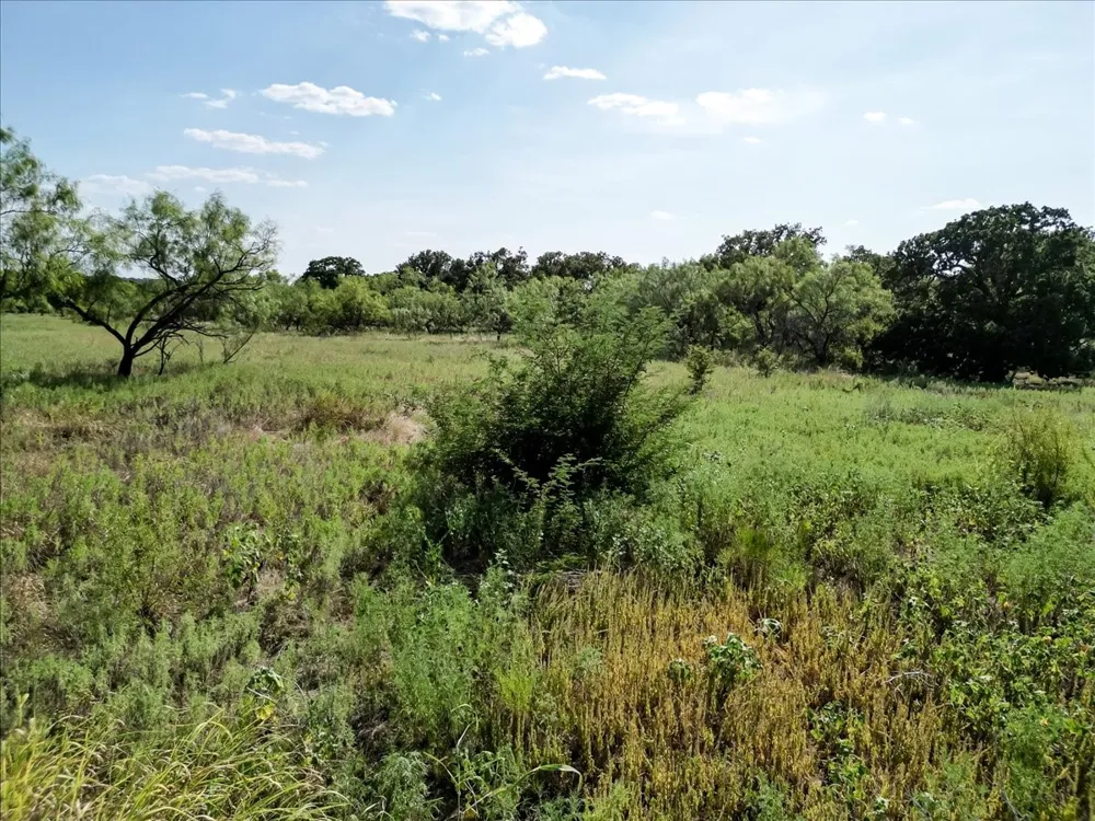496 Nash Road Jacksboro, TX 76458