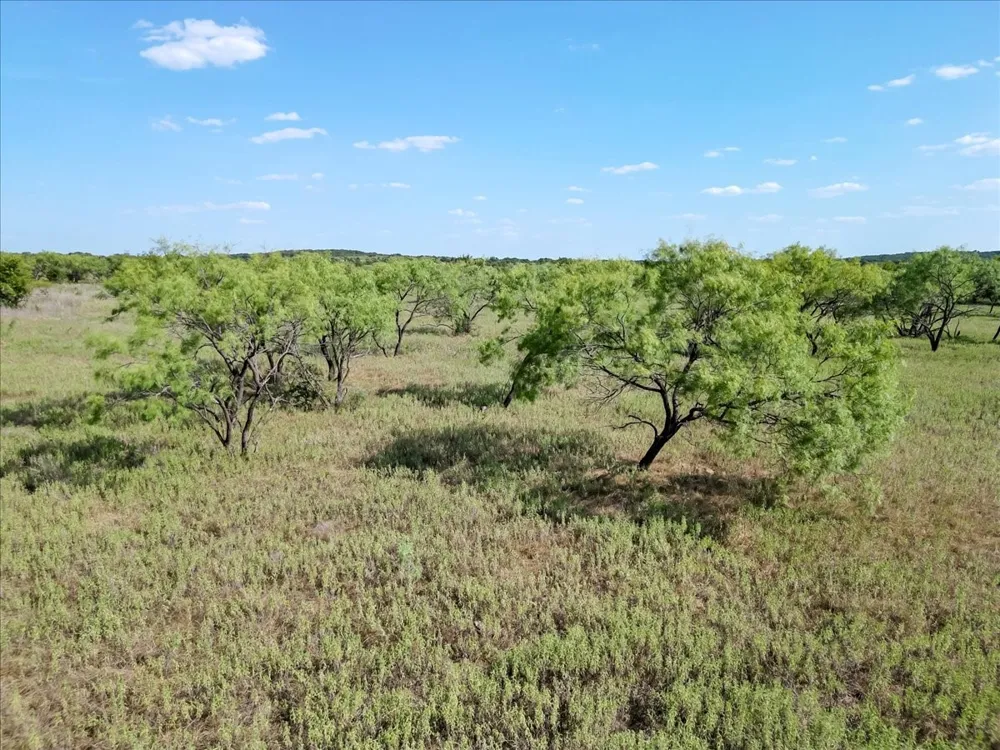 496 Nash Road Jacksboro, TX 76458