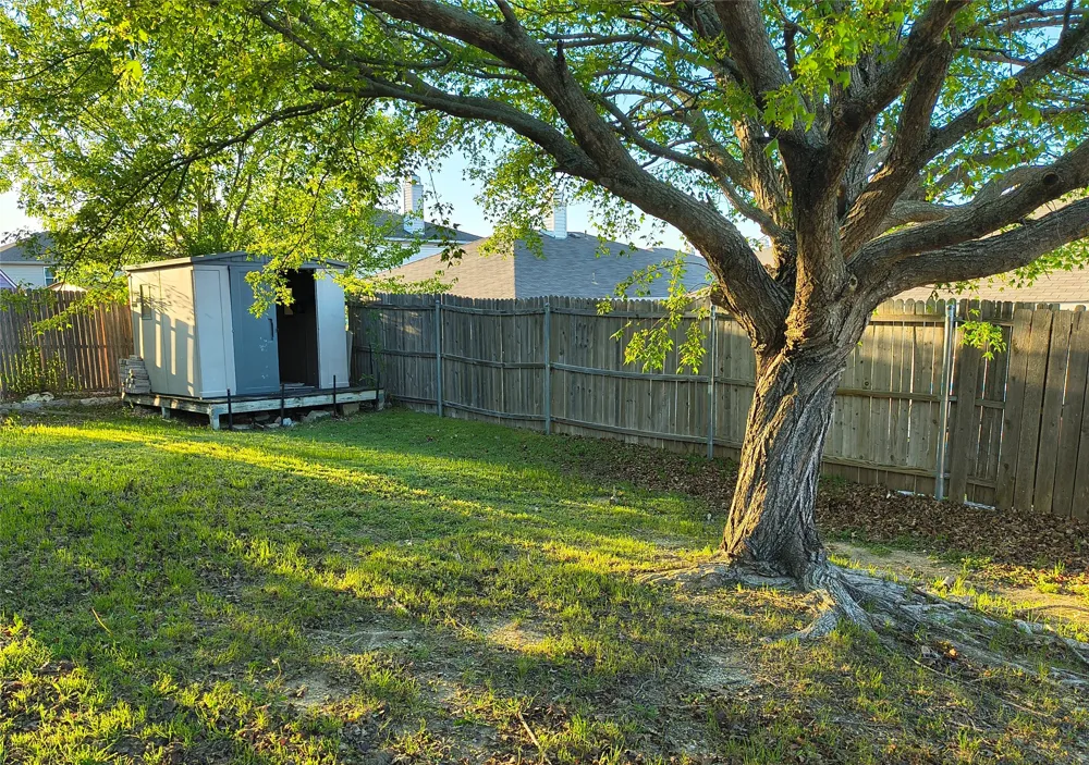 2524 Brinlee Branch Lane McKinney, TX 75071