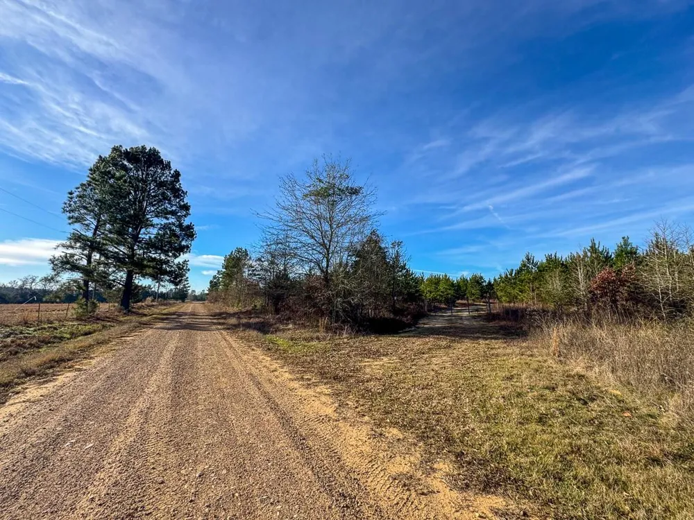 1 County Road 4245 De Kalb, TX 75559