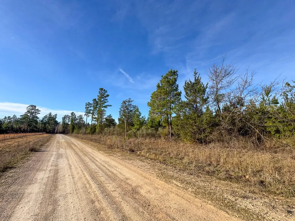 1 County Road 4245 De Kalb, TX 75559
