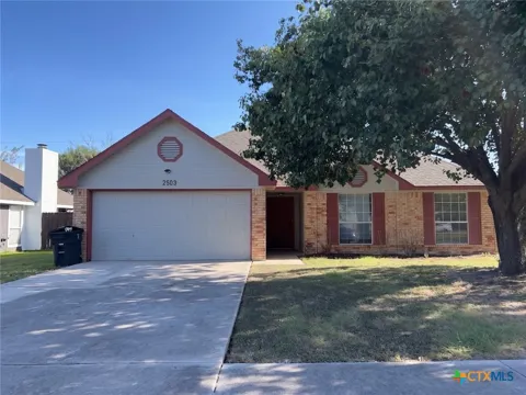 2503 Armadillo Drive