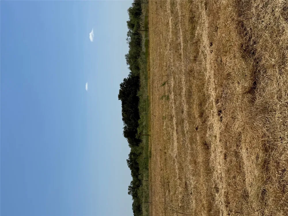 1875 County Road 273 Cameron, TX 76520