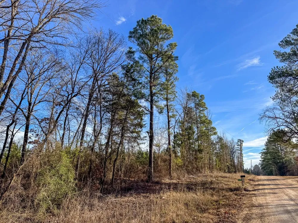 2 County Road 4245 De Kalb, TX 75559