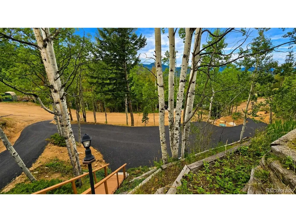 8680 London Lane Conifer, CO 80433
