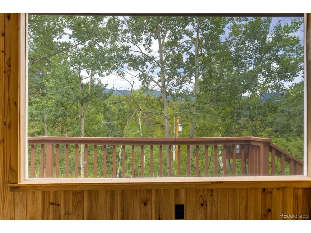 8680 London Lane Conifer, CO 80433