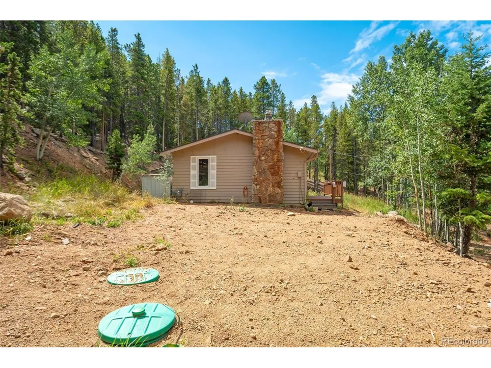 8680 London Lane Conifer, CO 80433