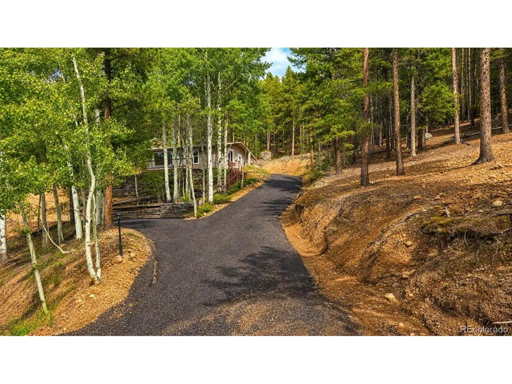 8680 London Lane Conifer, CO 80433