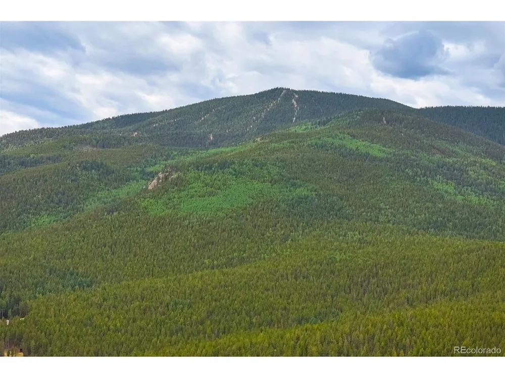 8680 London Lane Conifer, CO 80433