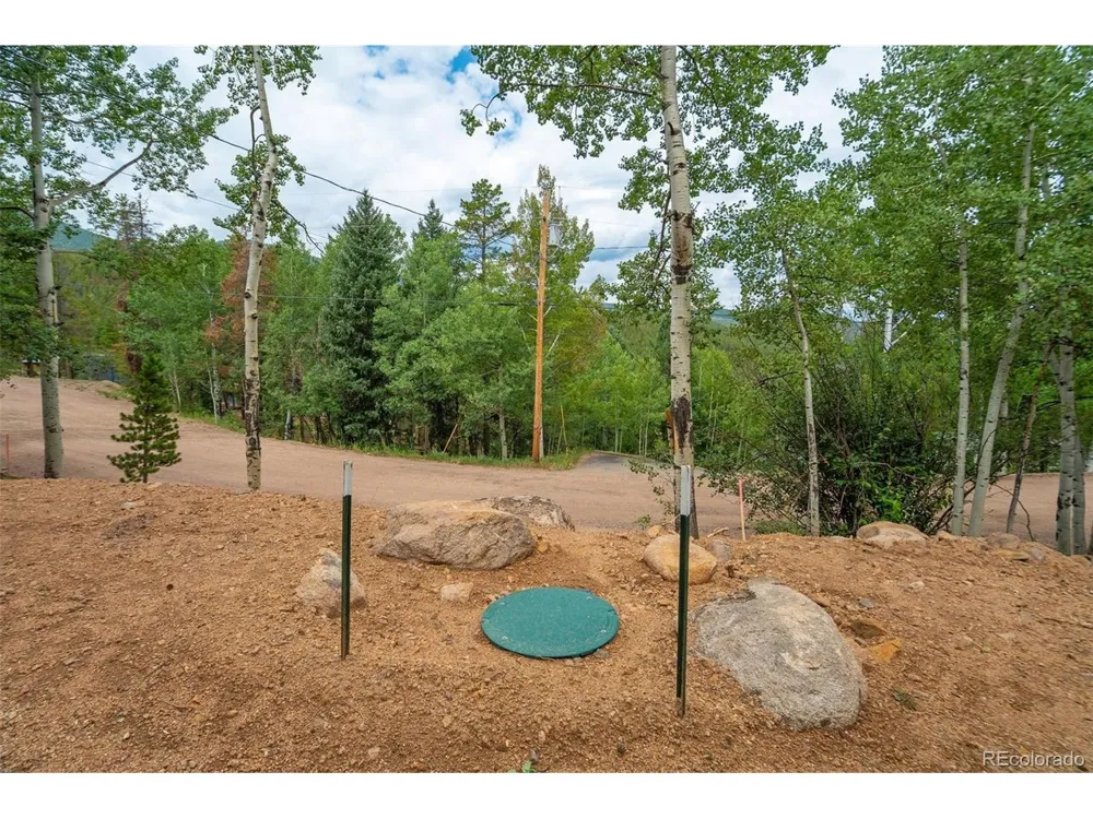 8680 London Lane Conifer, CO 80433