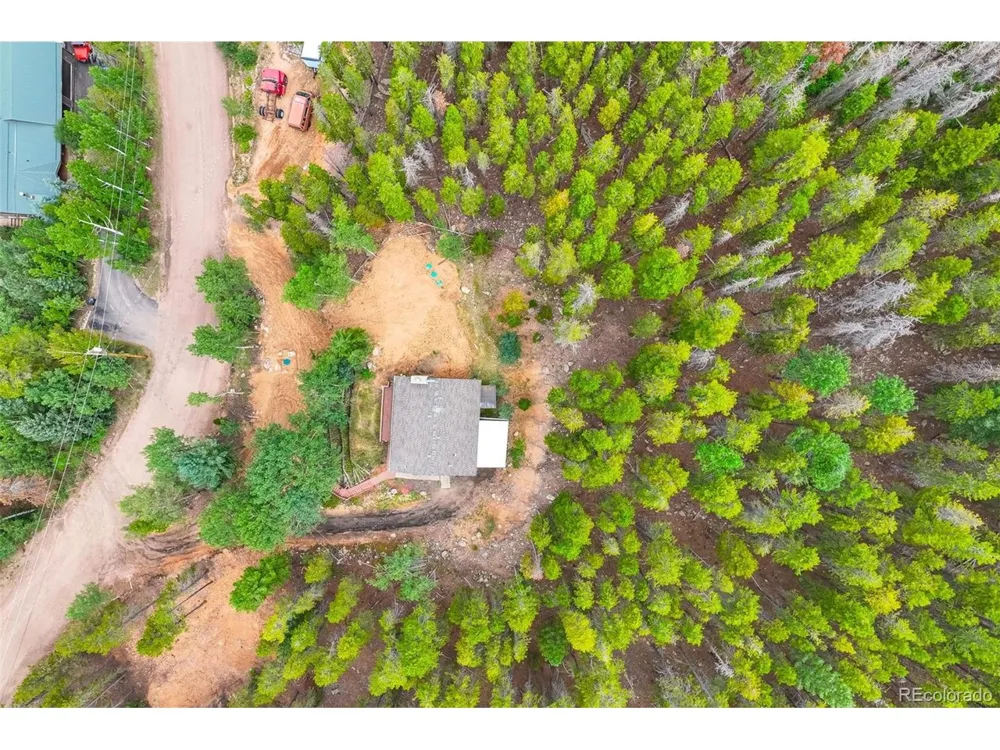 8680 London Lane Conifer, CO 80433