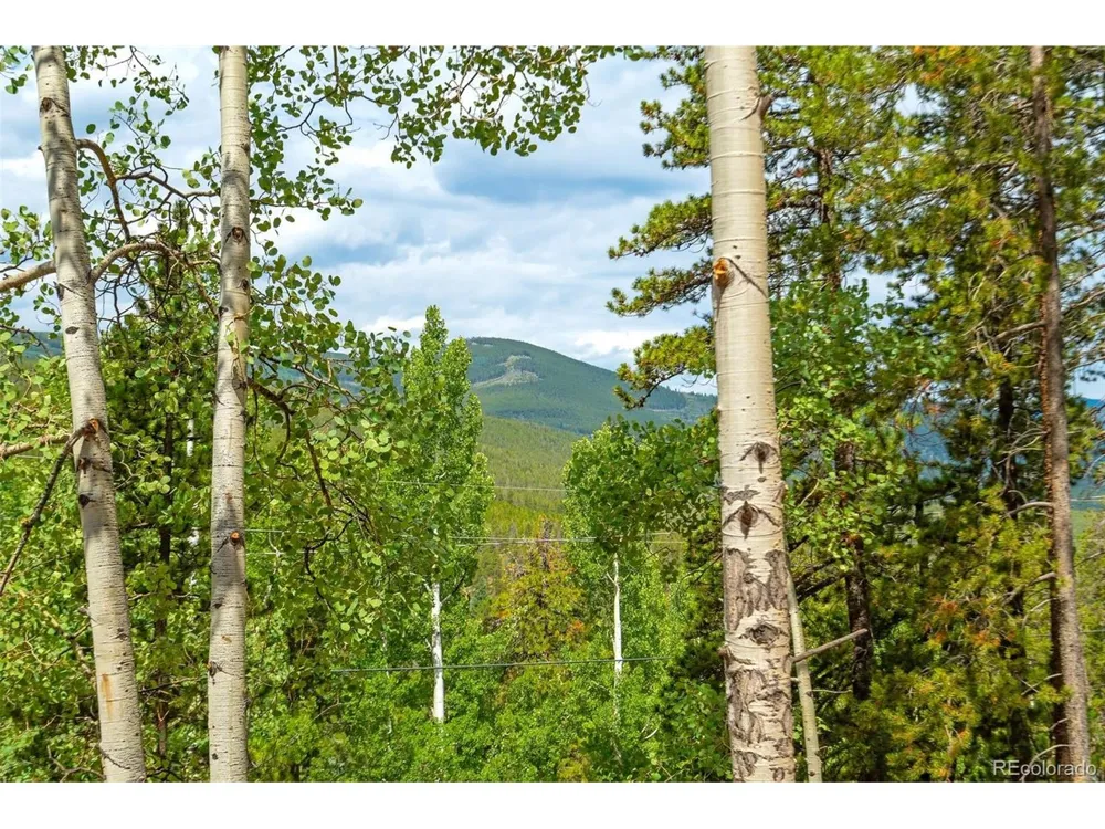 8680 London Lane Conifer, CO 80433