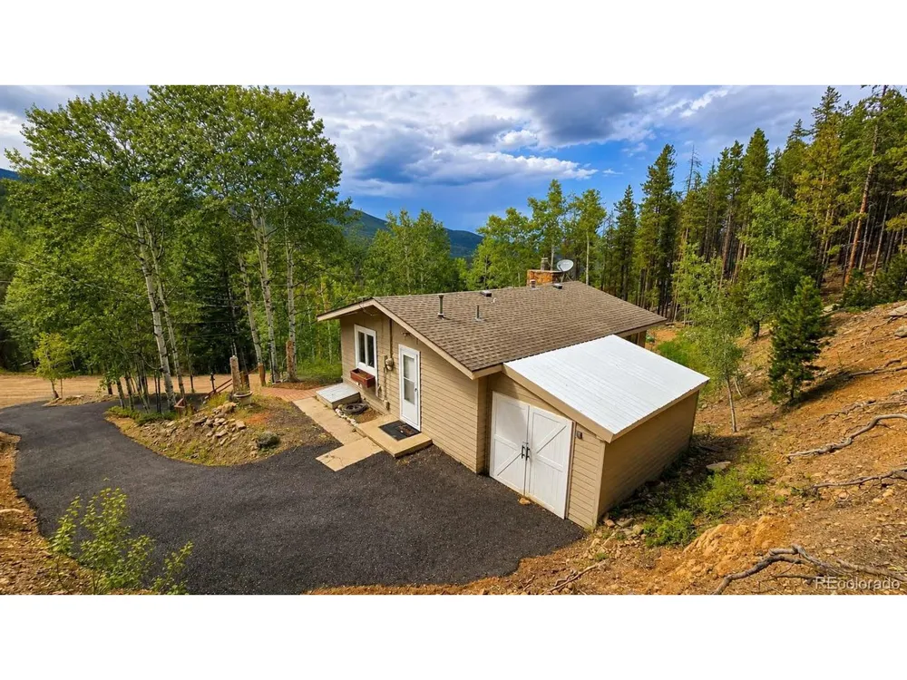 8680 London Lane Conifer, CO 80433