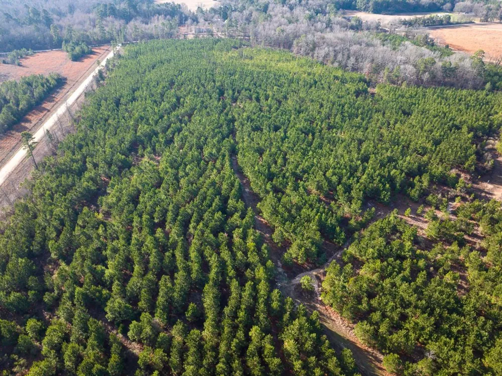 3 County Road 4245 De Kalb, TX 75559