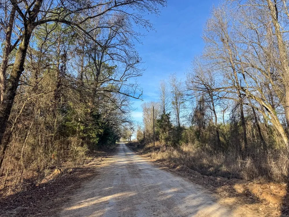 3 County Road 4245 De Kalb, TX 75559