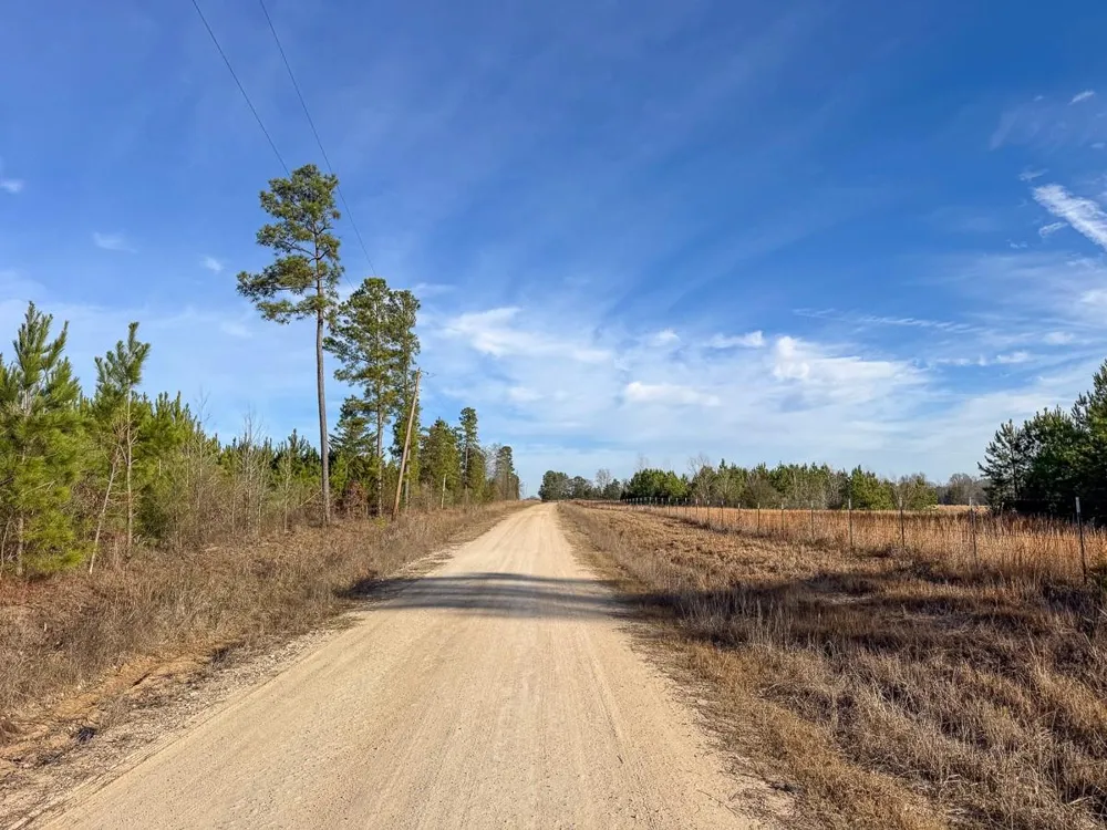 3 County Road 4245 De Kalb, TX 75559
