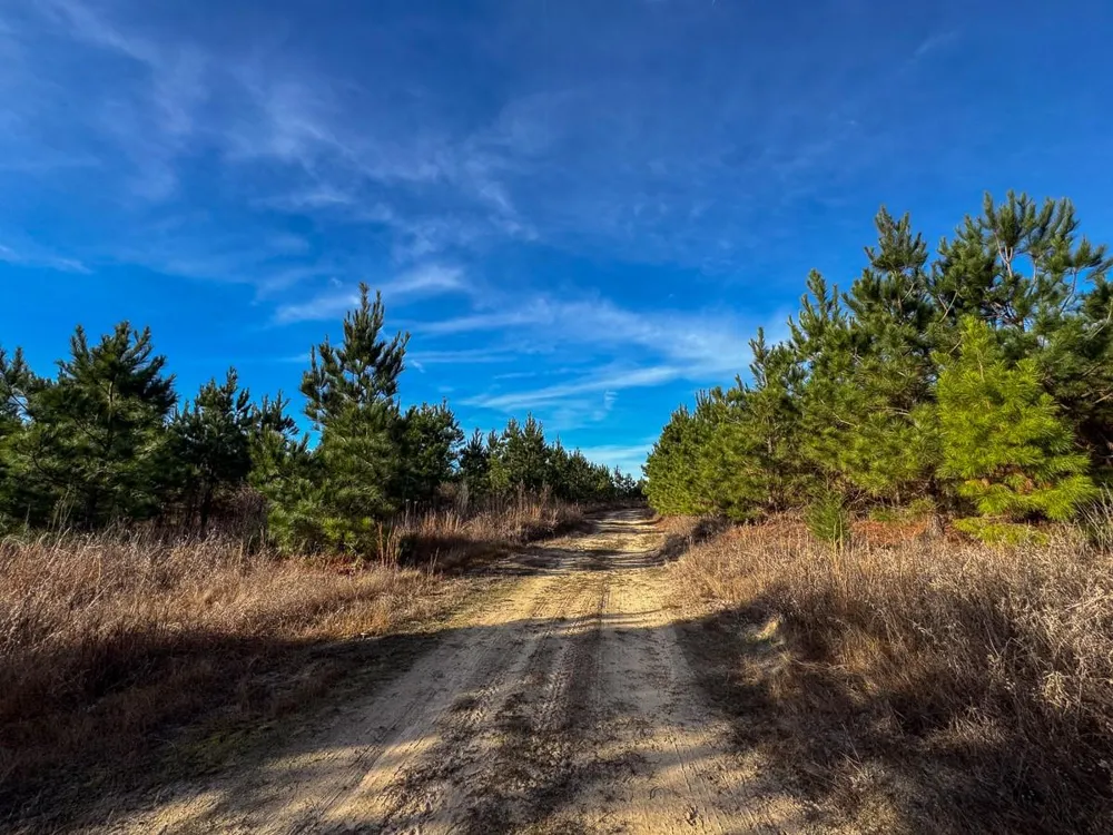 4 County Road 4245 De Kalb, TX 75559