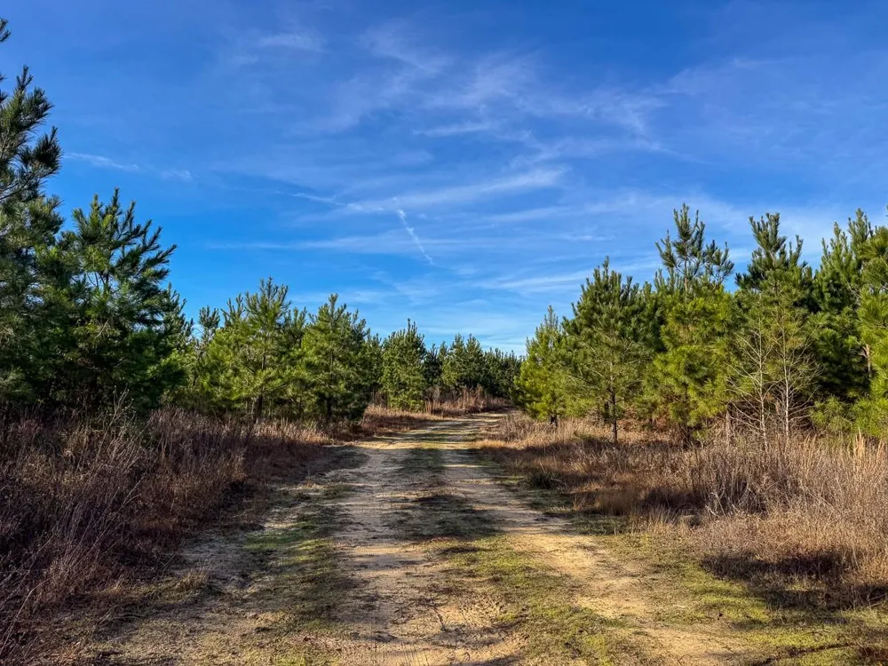 4 County Road 4245 De Kalb, TX 75559