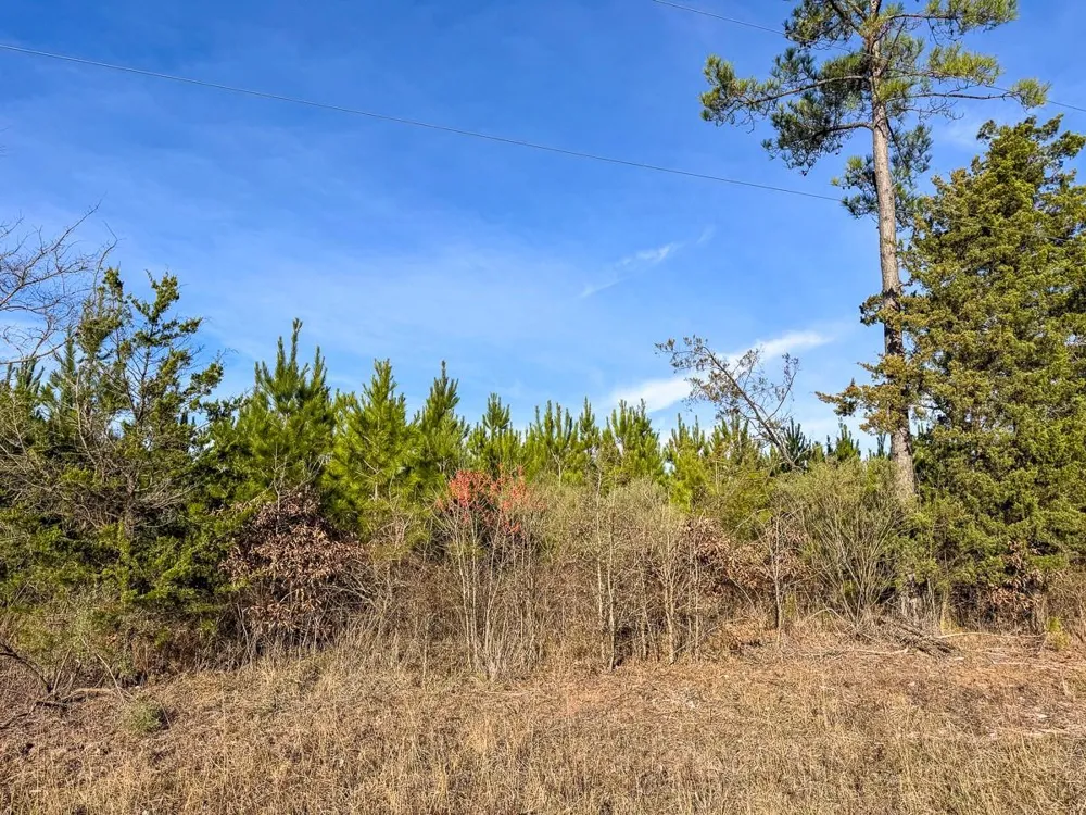 4 County Road 4245 De Kalb, TX 75559
