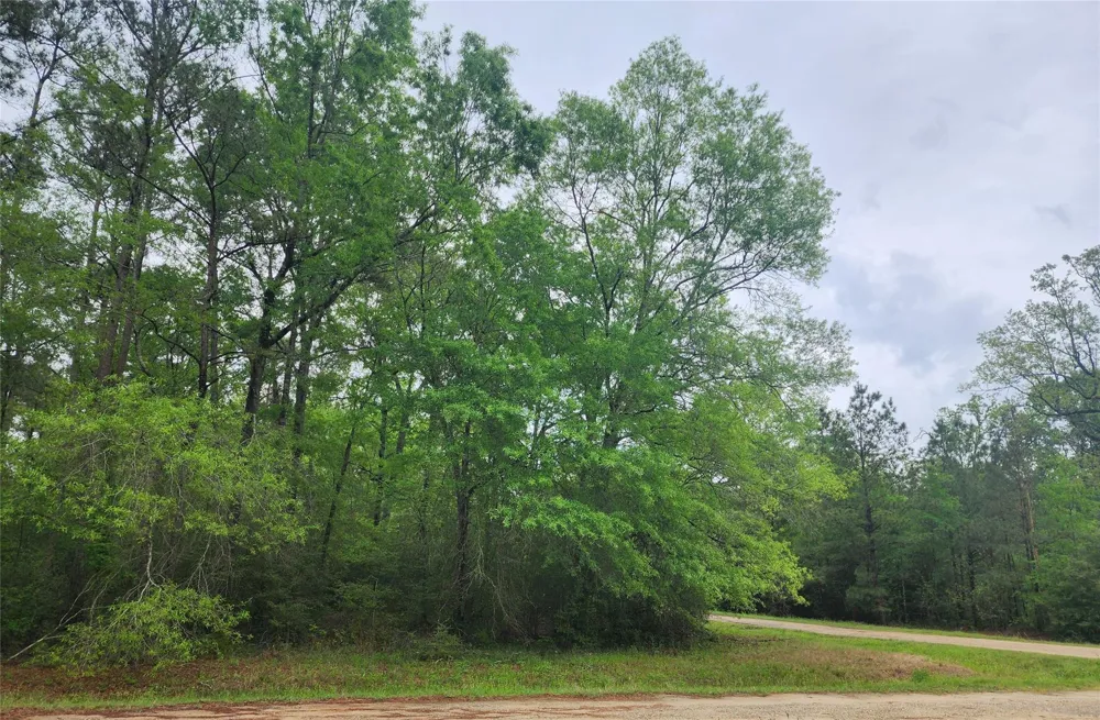 Cloverdale Livingston, TX 77351
