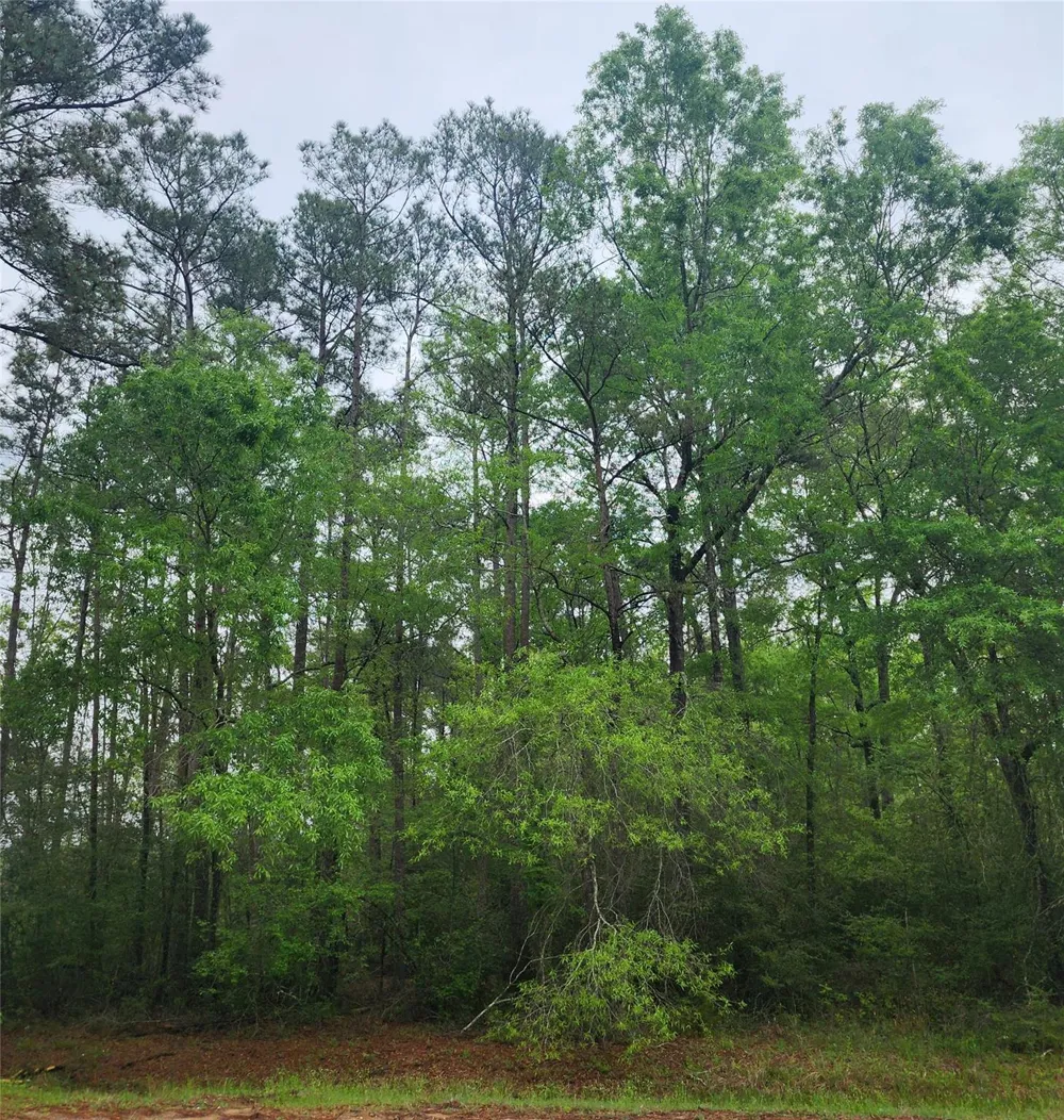 Cloverdale Livingston, TX 77351