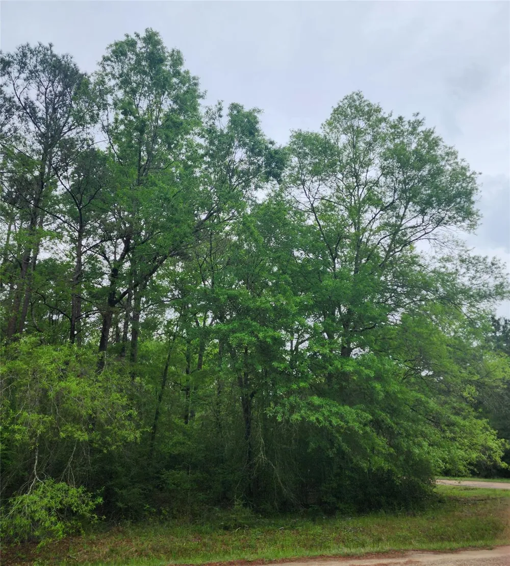 Cloverdale Livingston, TX 77351