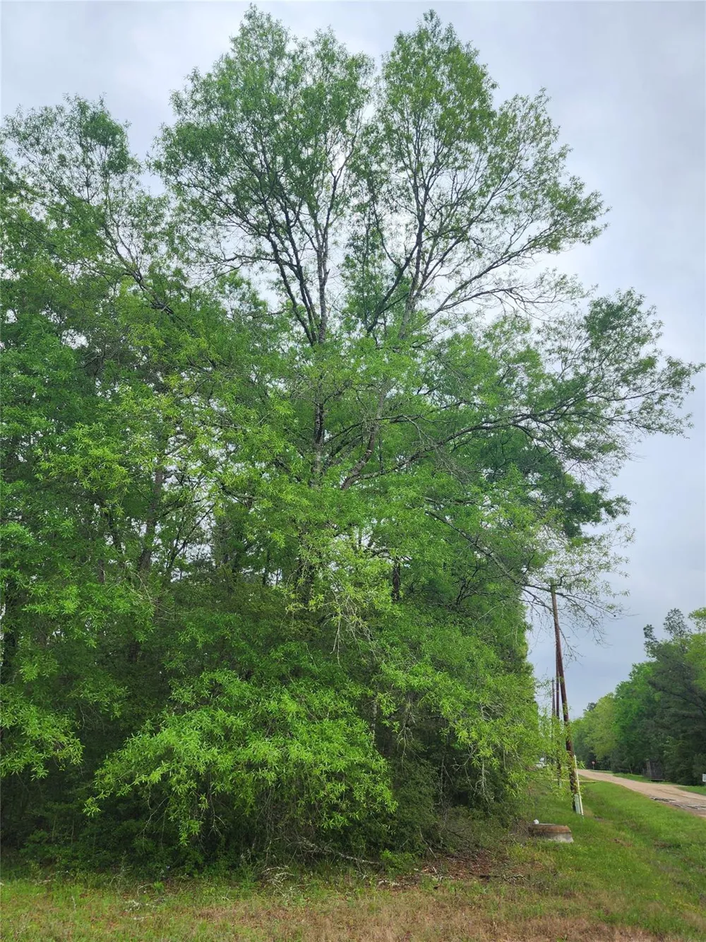 Cloverdale Livingston, TX 77351