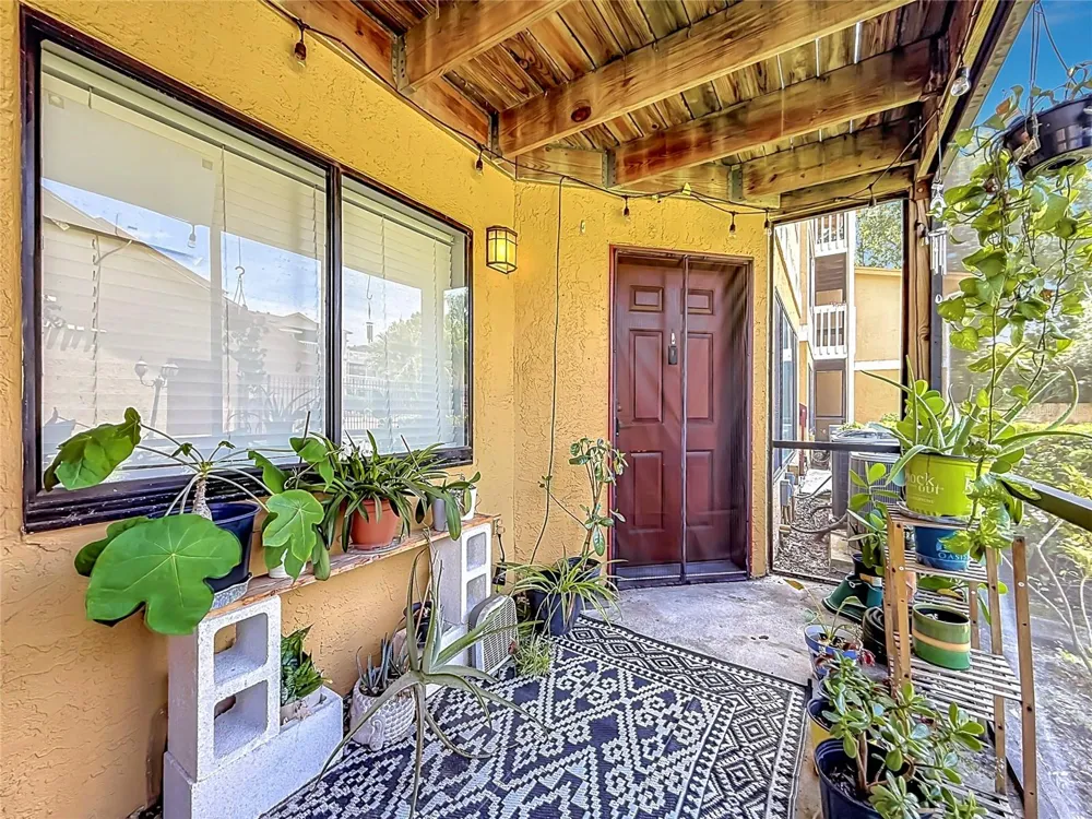1550 S BELCHER ROAD #214 Clearwater, FL 33764