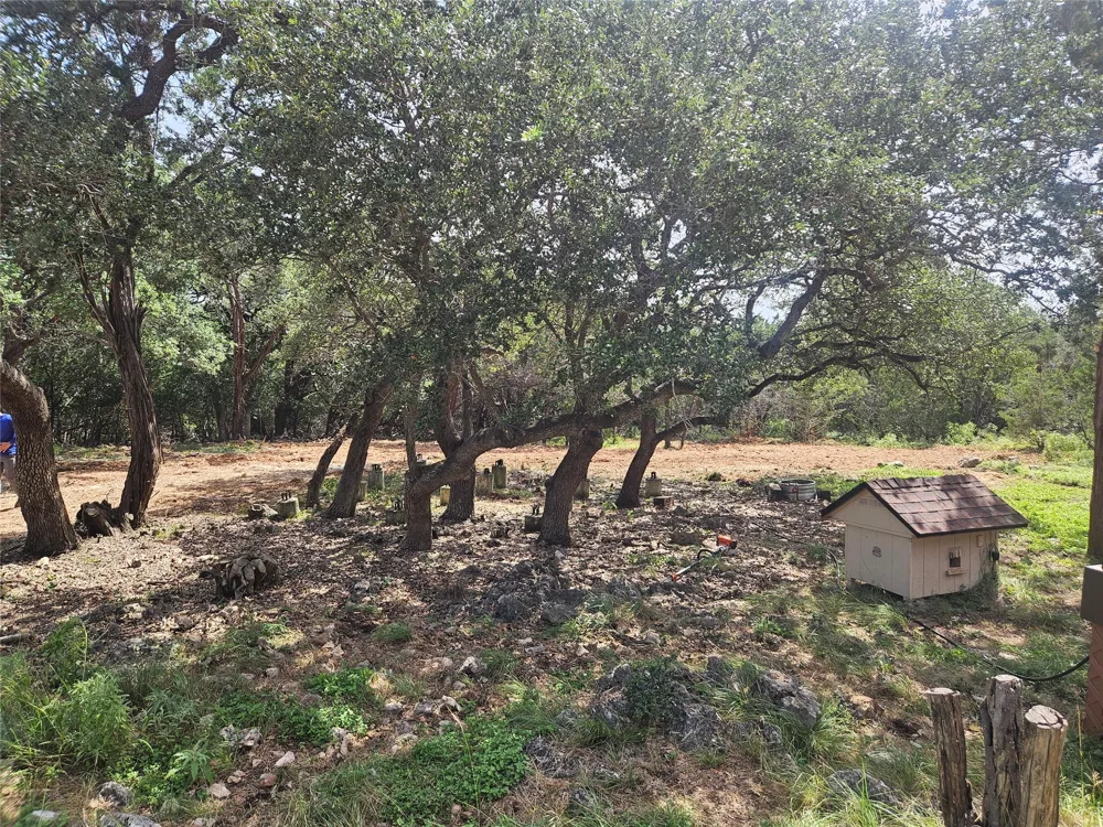 204 Falling Hills New Braunfels, TX 78132