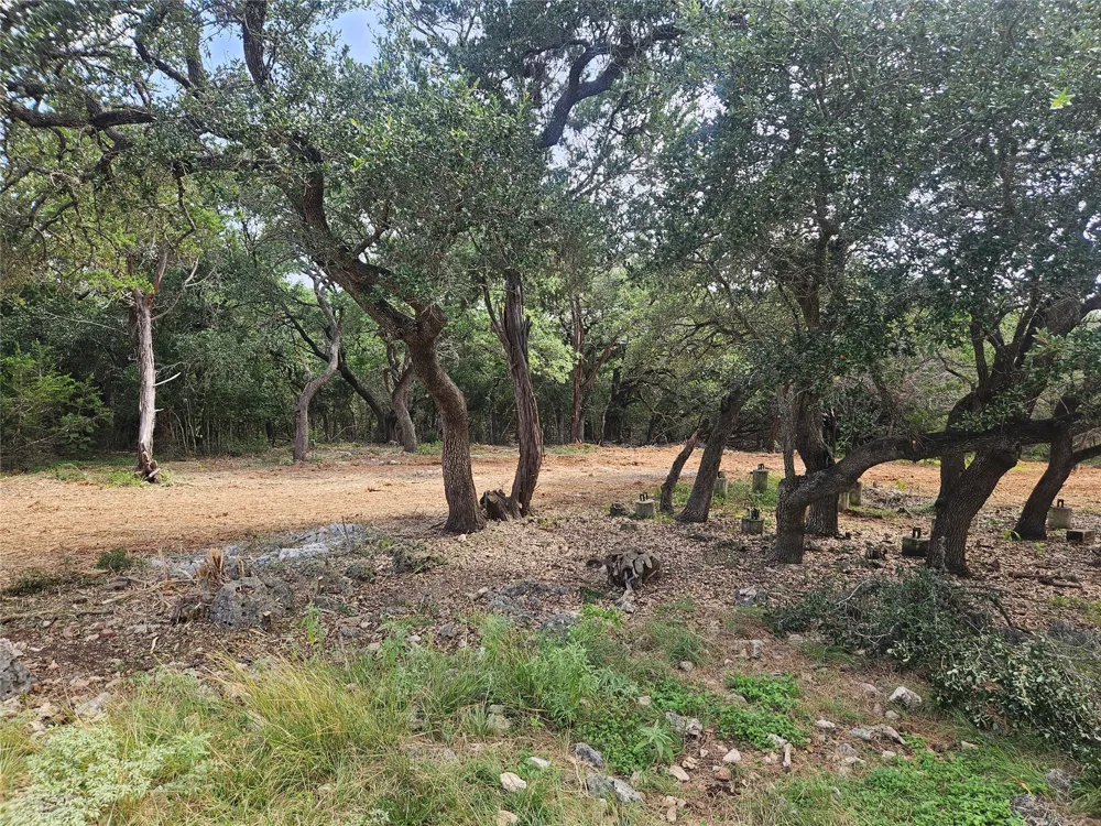 204 Falling Hills New Braunfels, TX 78132
