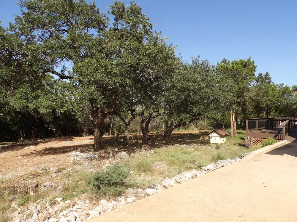 204 Falling Hills New Braunfels, TX 78132