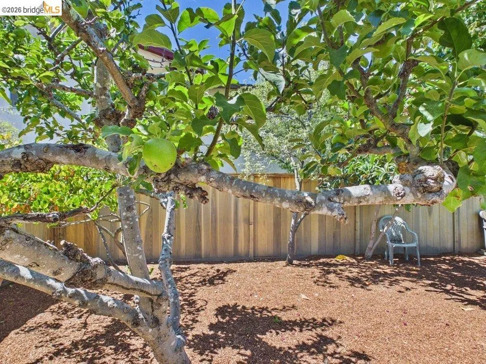 3621 Rhoda Ave Oakland, CA 94602