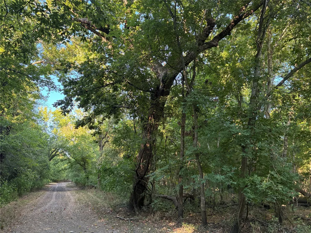 407 Cr 227 Marlin, TX 76661