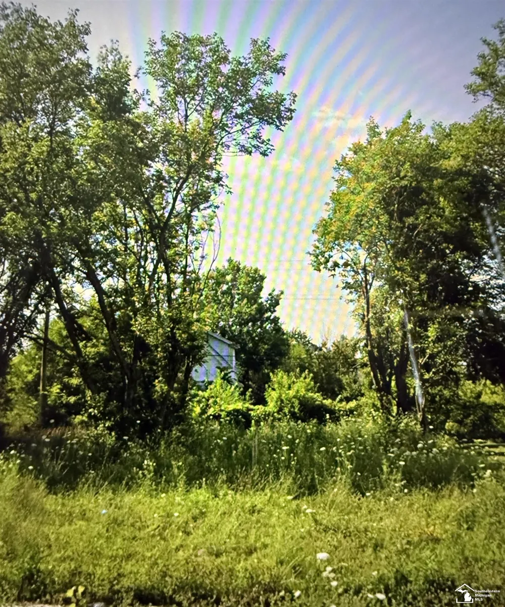 1970 Cortland Street Detroit City, MI 48206