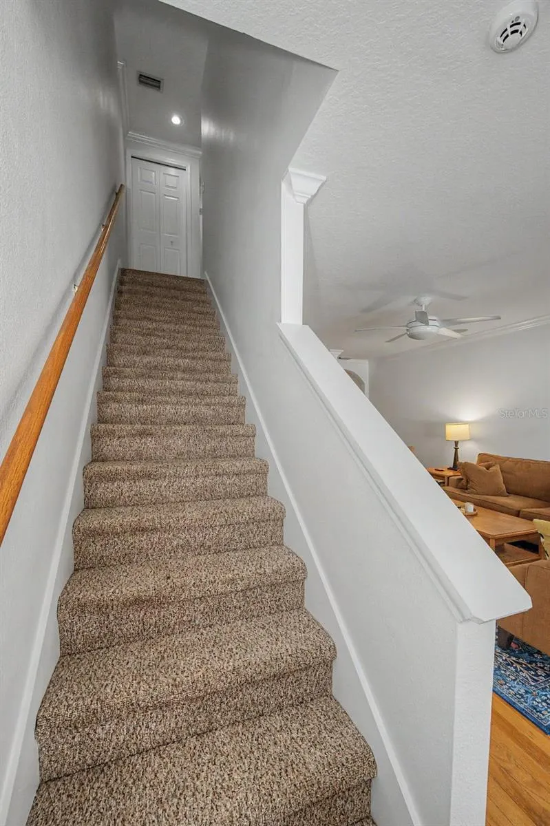 4909 ELIZABETH ANNE CIRCLE Tampa, FL 33616