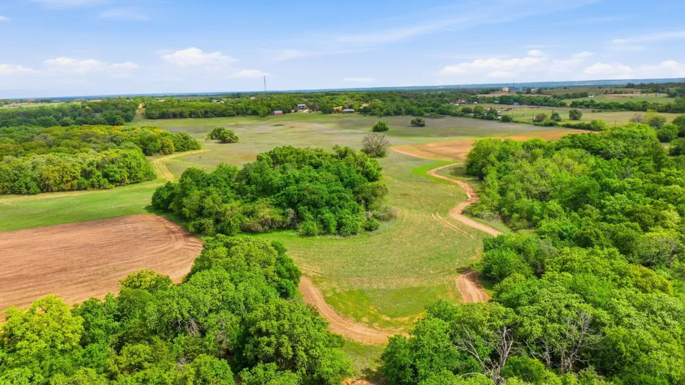 Ladybird Ln Azle, TX 76020