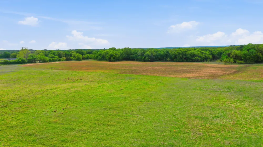 Ladybird Ln Azle, TX 76020
