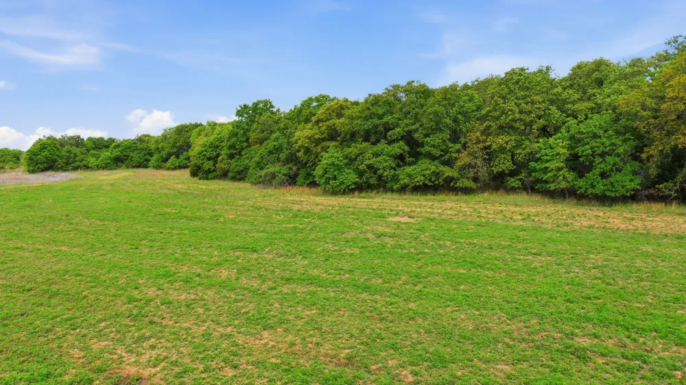 Ladybird Ln Azle, TX 76020